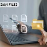 what are .smn files