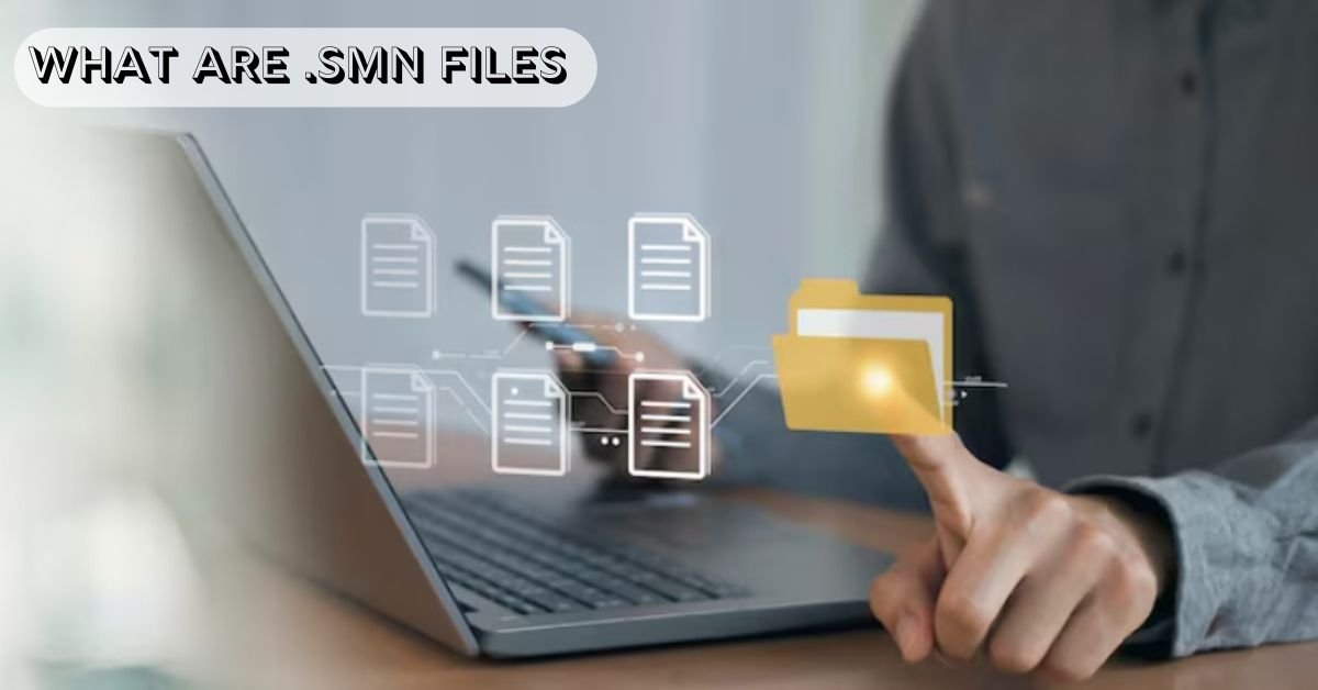 what are .smn files
