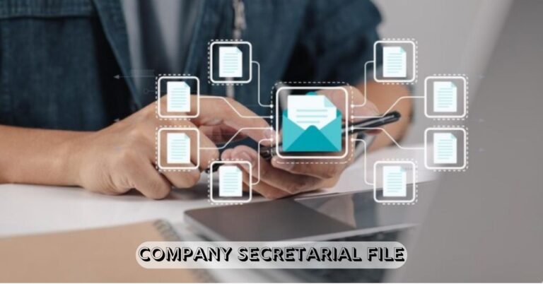 company secretarial file