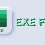 exe file