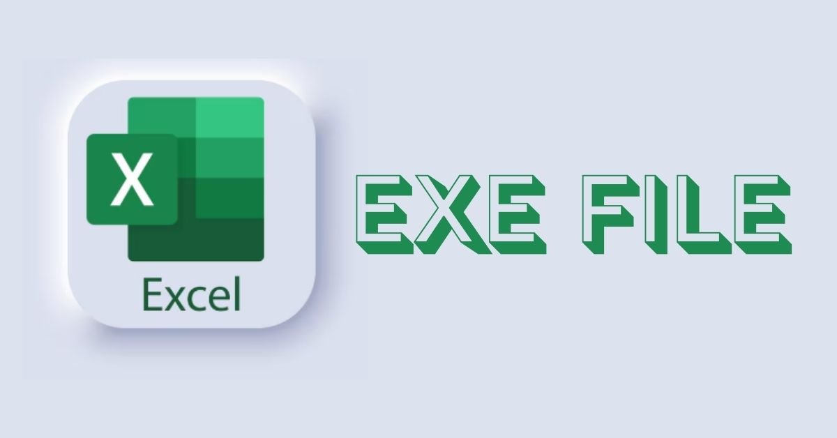 exe file